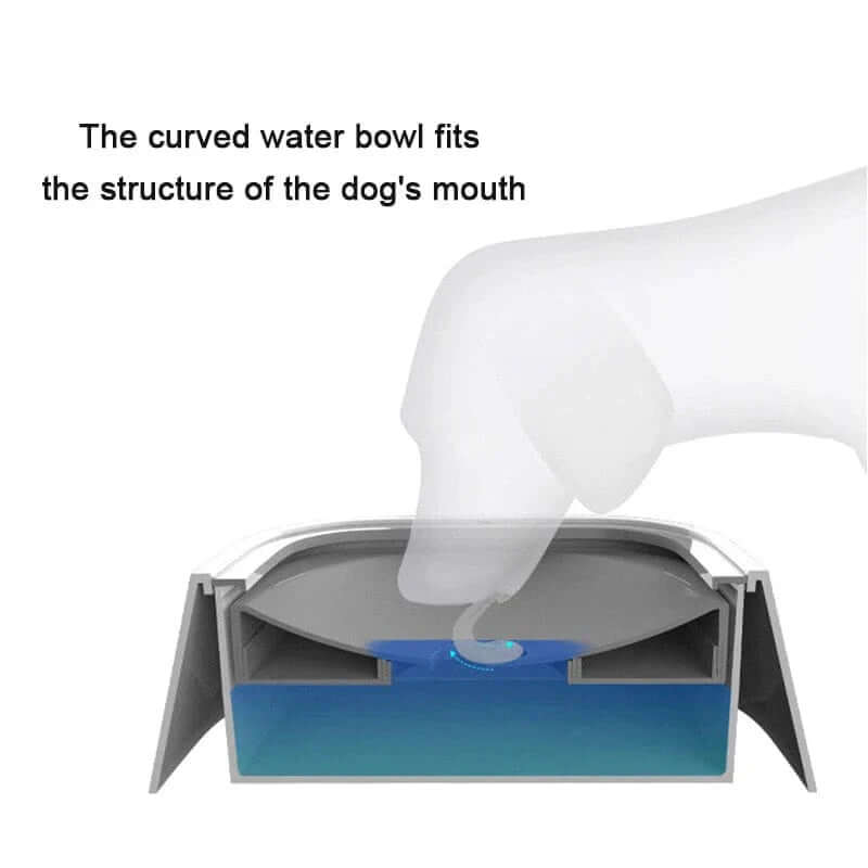 floating dog drinking water bowl