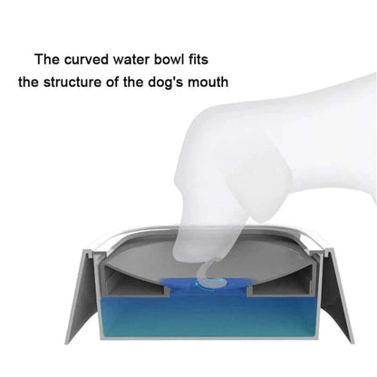 floating dog drinking water bowl